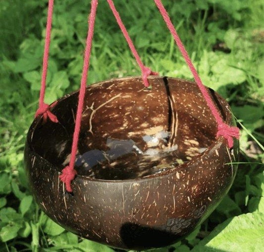 Dr Zigs Coconut Bucket - Scandibørn